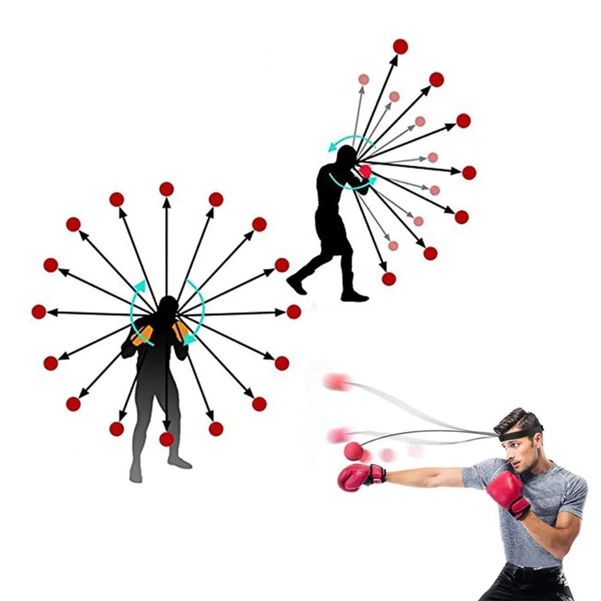 schéma Balle Elastique Boxe