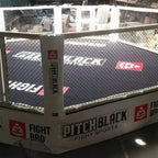 Ring MMA Octogone
