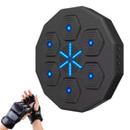 Panneau de Réaction Boxe Electronique